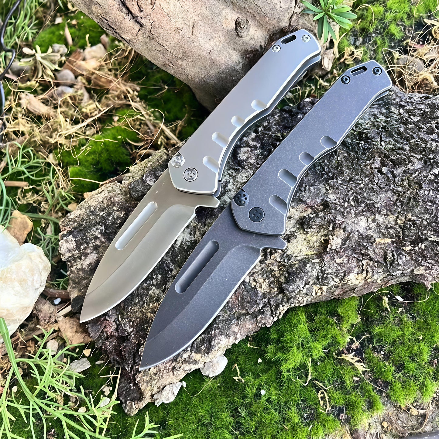 ABBOTT - D2 EDC KASUMI™