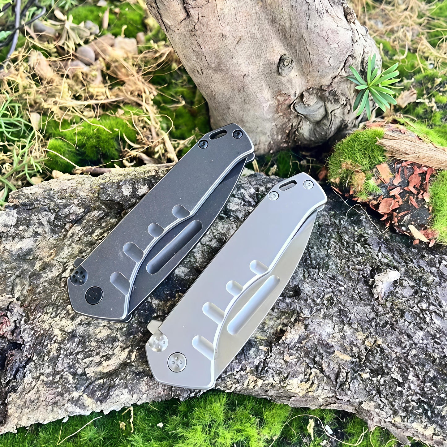 ABBOTT - D2 EDC KASUMI™