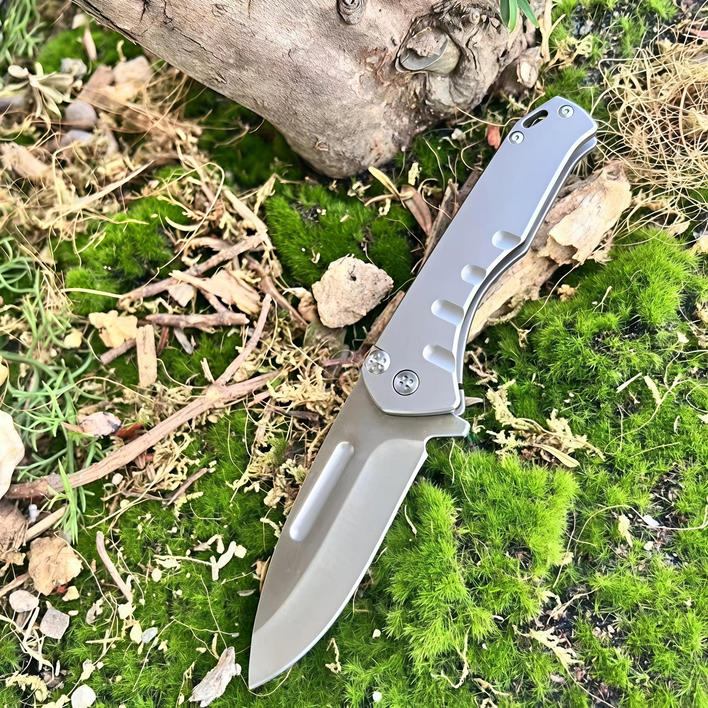 ABBOTT - D2 EDC KASUMI™