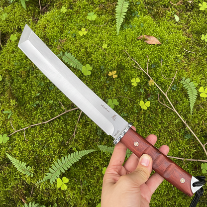 Hand holding knife moss fern background